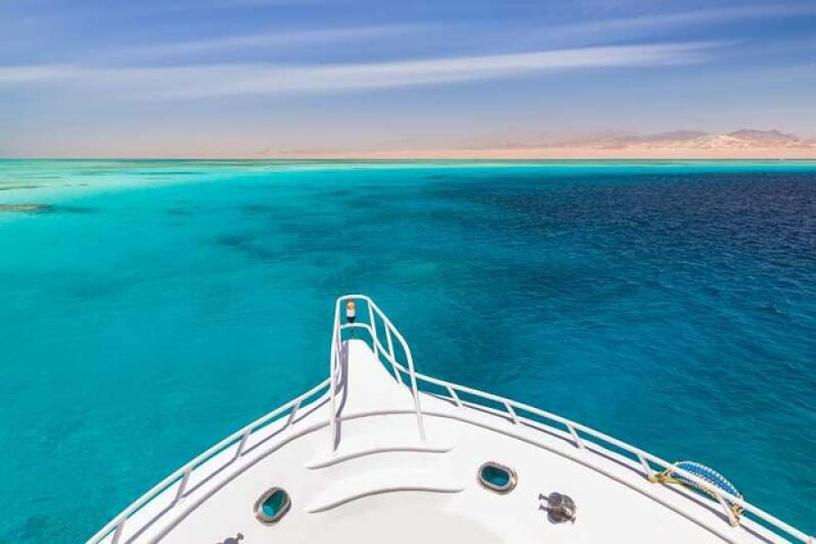 snorkeling session at dawn on the Red Sea