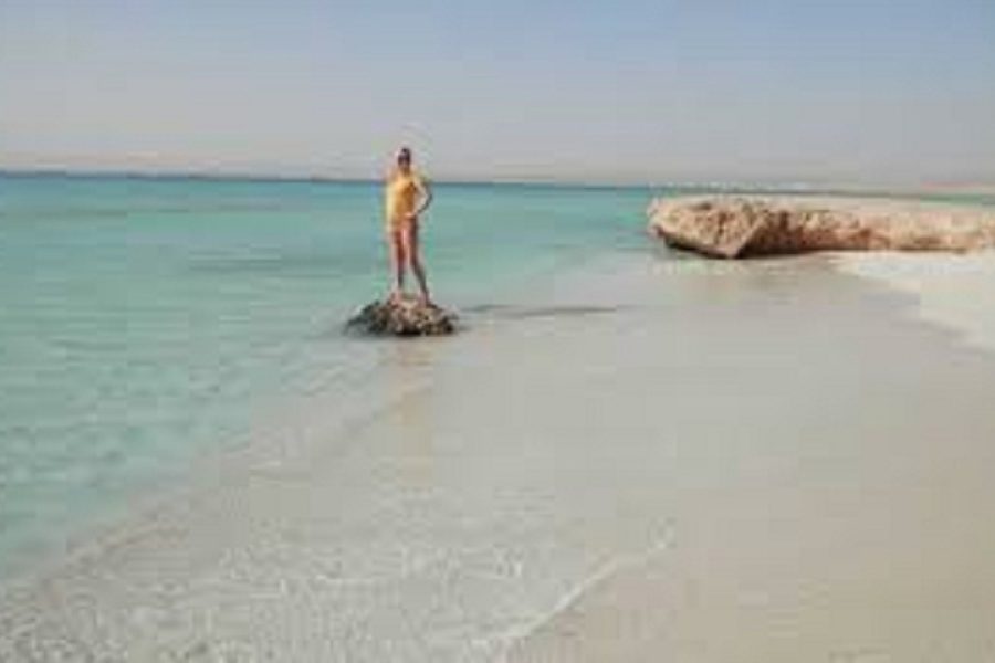 Sharm El Luli snorkeling trip in Marsa Alam