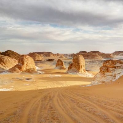 WESTERN DESERT